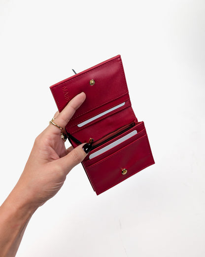 AI25 Marc Ellis Portafoglio MINTY MF Rubino